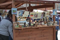 galeria (37)