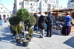 galeria (56)