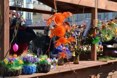 galeria (61)