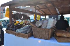 galeria (62)
