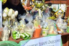 galeria (65)
