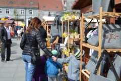 galeria (73)